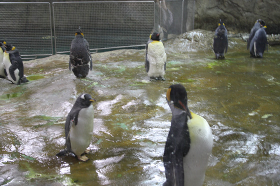 Zoological Gardens Wuppertal