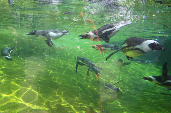 Zoological Gardens Wuppertal