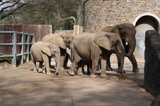 Zoological Gardens Wuppertal