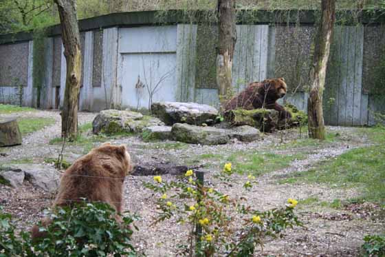 Zoological Gardens Wuppertal