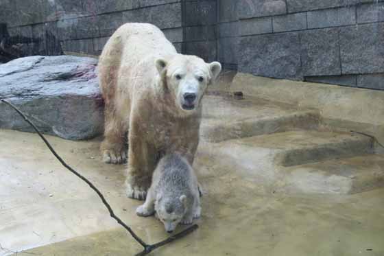 Zoological Gardens Wuppertal