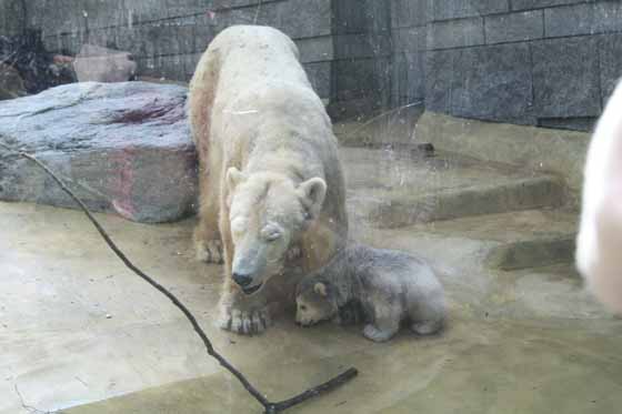 Zoological Gardens Wuppertal