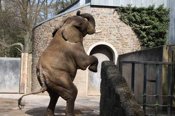 Zoological Gardens Wuppertal