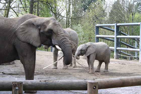 Zoological Gardens Wuppertal