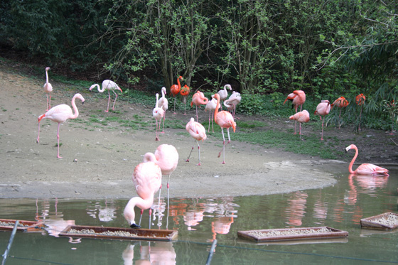 Zoological Gardens Wuppertal