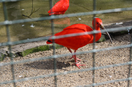 Zoological Gardens Wuppertal