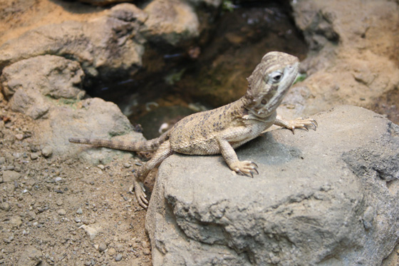 Zoological Gardens Wuppertal