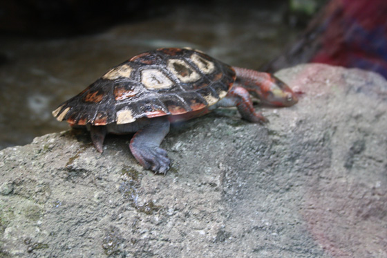 Zoological Gardens Wuppertal