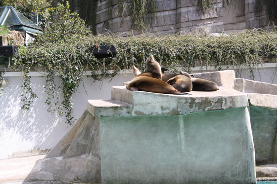 Zoological Gardens Wuppertal